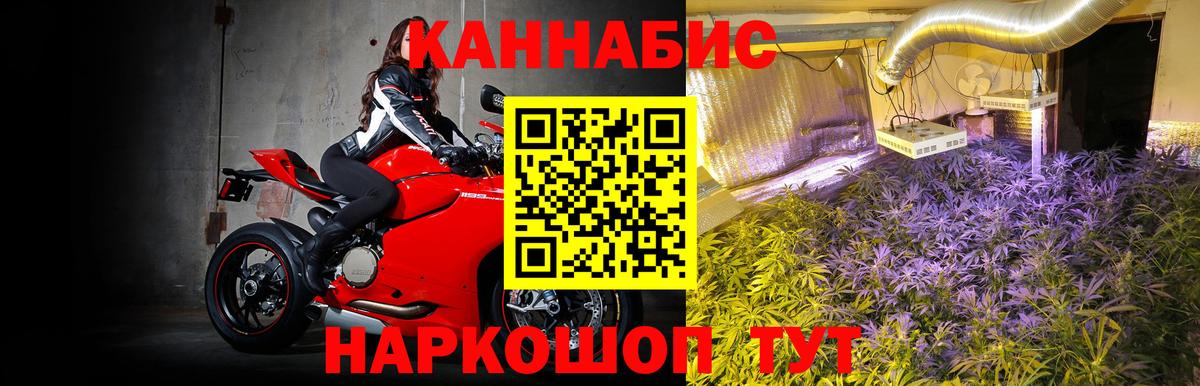 Конопля сатива  Шишки марихуана семена  Калининград  Вход с VPN  Конопля White Widow 